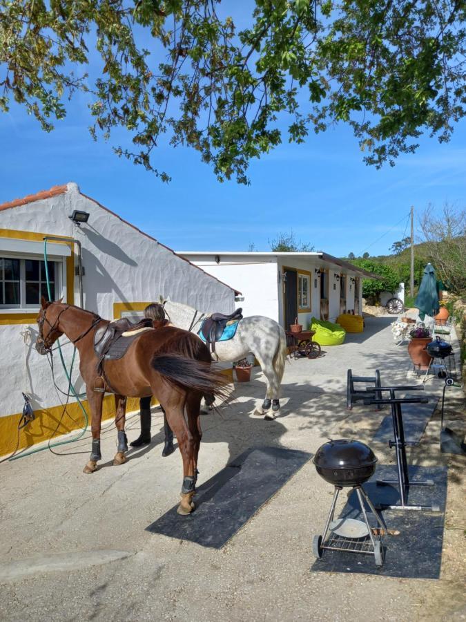 Casinha De Campo- Quintinha Dos Cavalos- 아후다 두스 비뉴스 외부 사진